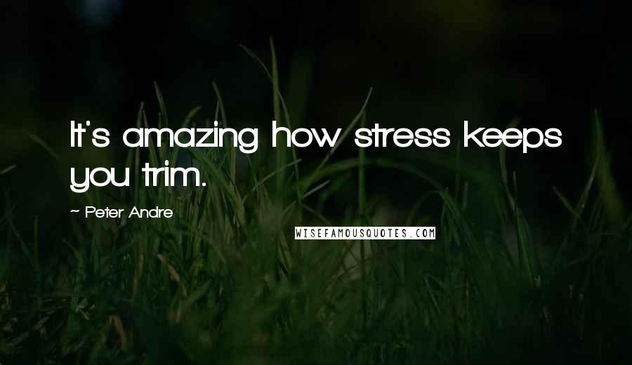 Peter Andre Quotes: It's amazing how stress keeps you trim.