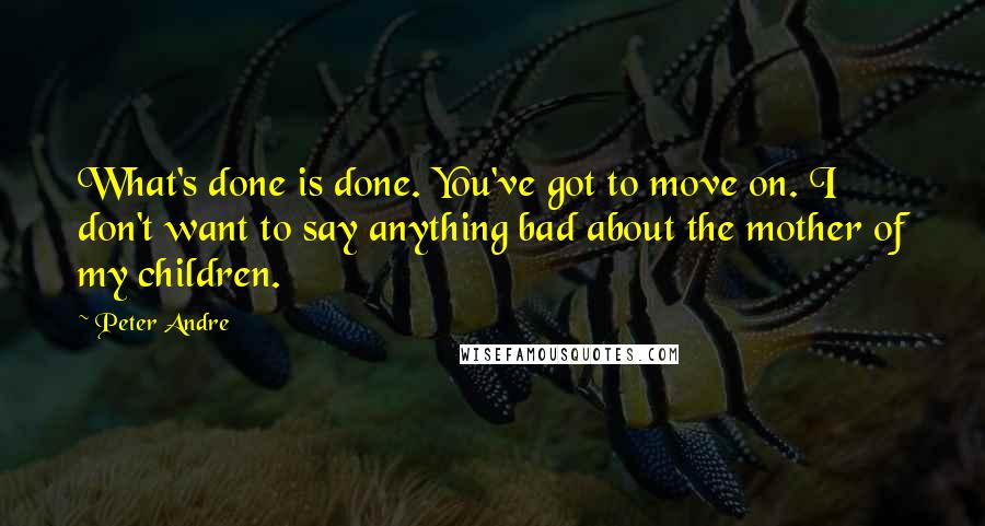 Peter Andre Quotes: What's done is done. You've got to move on. I don't want to say anything bad about the mother of my children.