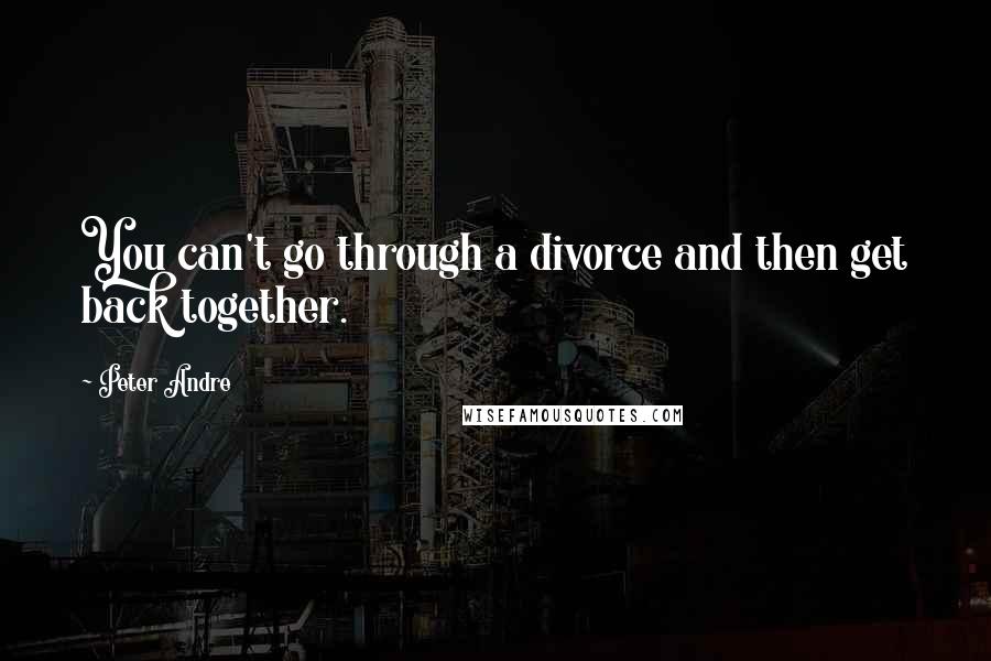 Peter Andre Quotes: You can't go through a divorce and then get back together.