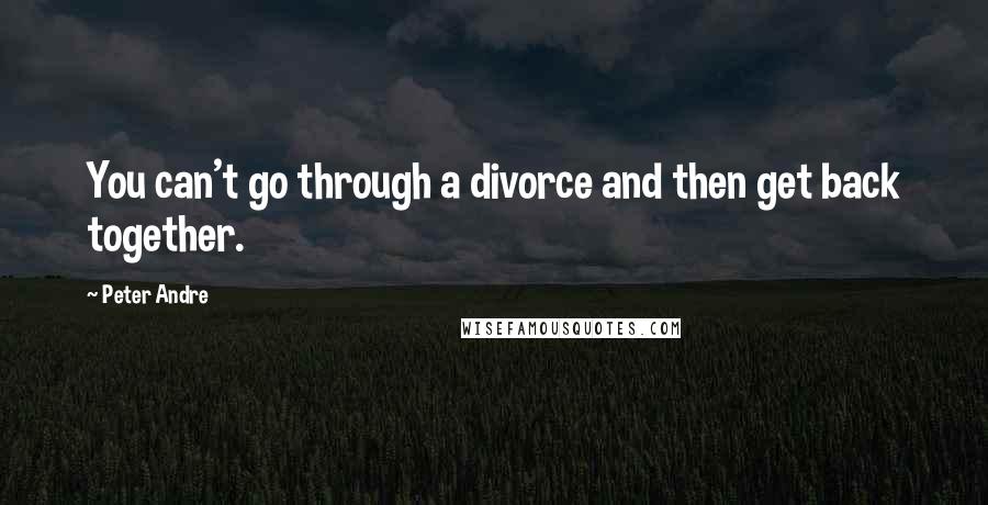 Peter Andre Quotes: You can't go through a divorce and then get back together.