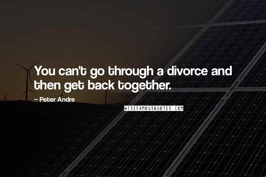 Peter Andre Quotes: You can't go through a divorce and then get back together.