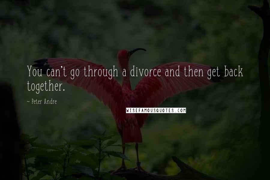 Peter Andre Quotes: You can't go through a divorce and then get back together.