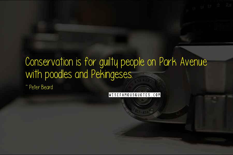 Peter Beard Quotes: Conservation is for guilty people on Park Avenue with poodles and Pekingeses.