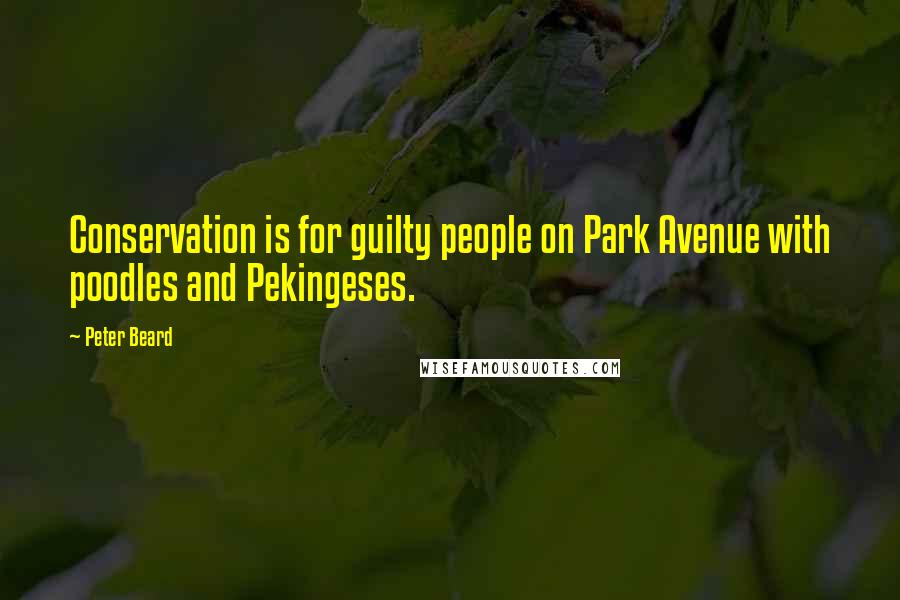 Peter Beard Quotes: Conservation is for guilty people on Park Avenue with poodles and Pekingeses.