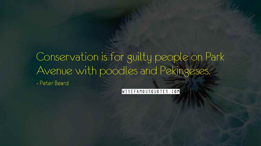 Peter Beard Quotes: Conservation is for guilty people on Park Avenue with poodles and Pekingeses.