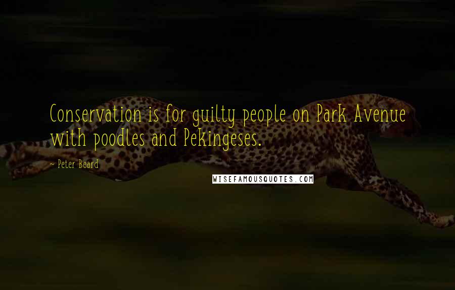 Peter Beard Quotes: Conservation is for guilty people on Park Avenue with poodles and Pekingeses.