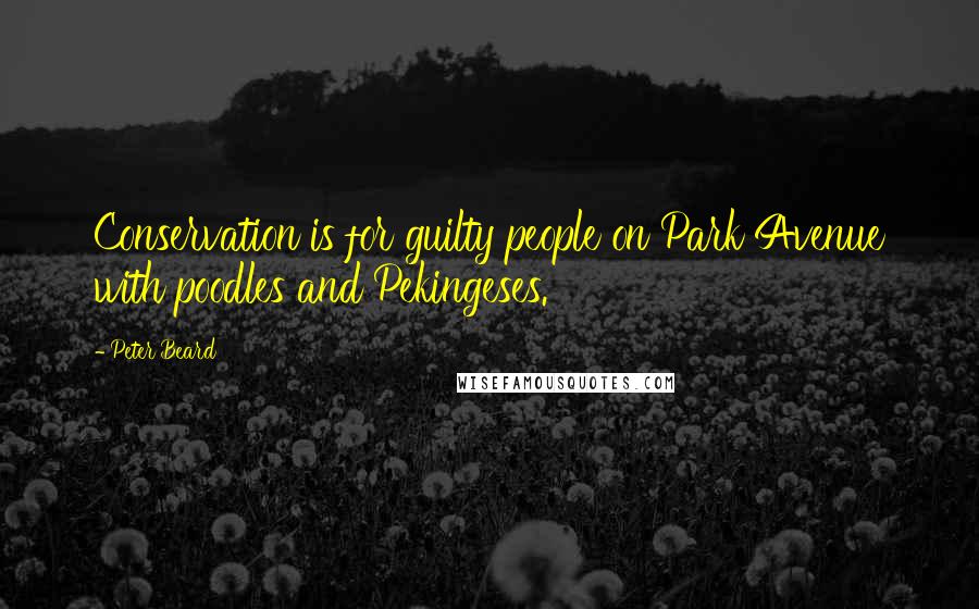 Peter Beard Quotes: Conservation is for guilty people on Park Avenue with poodles and Pekingeses.