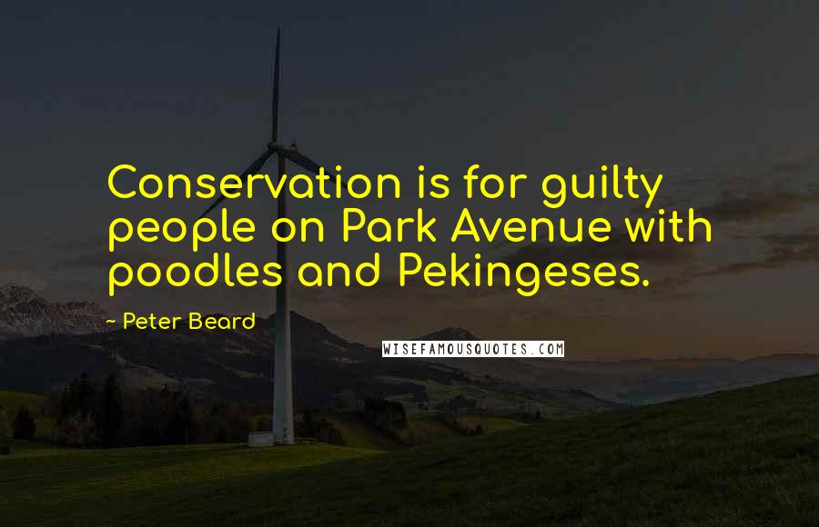 Peter Beard Quotes: Conservation is for guilty people on Park Avenue with poodles and Pekingeses.