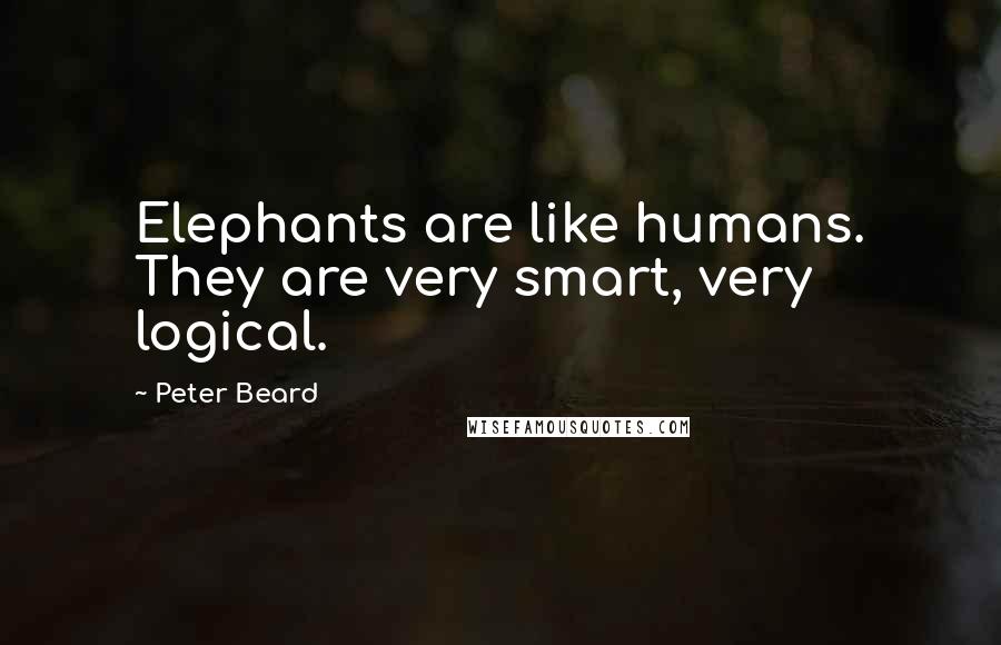 Peter Beard Quotes: Elephants are like humans. They are very smart, very logical.