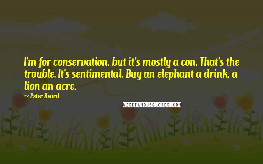 Peter Beard Quotes: I'm for conservation, but it's mostly a con. That's the trouble. It's sentimental. Buy an elephant a drink, a lion an acre.