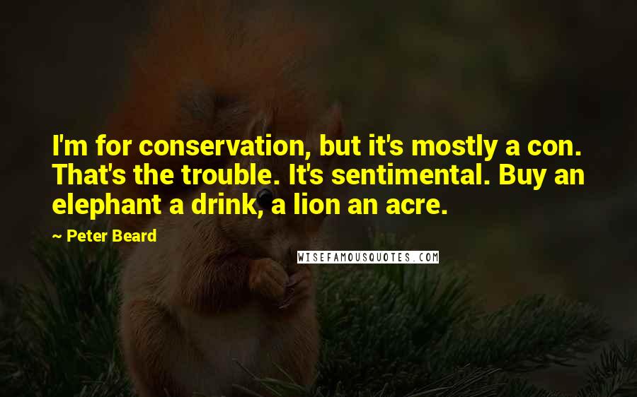 Peter Beard Quotes: I'm for conservation, but it's mostly a con. That's the trouble. It's sentimental. Buy an elephant a drink, a lion an acre.
