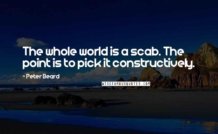 Peter Beard Quotes: The whole world is a scab. The point is to pick it constructively.