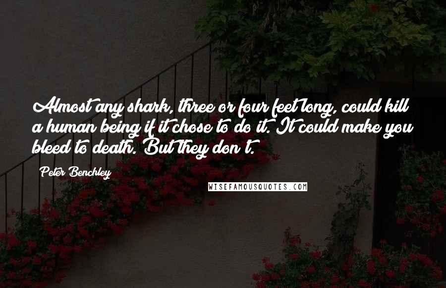 Peter Benchley Quotes: Almost any shark, three or four feet long, could kill a human being if it chose to do it. It could make you bleed to death. But they don't.