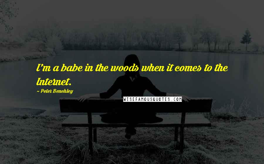 Peter Benchley Quotes: I'm a babe in the woods when it comes to the Internet.