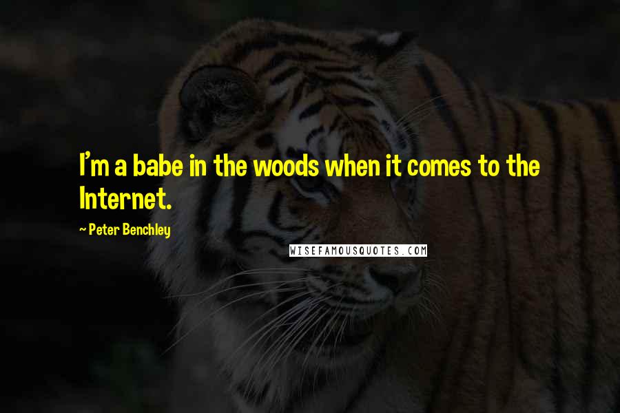 Peter Benchley Quotes: I'm a babe in the woods when it comes to the Internet.