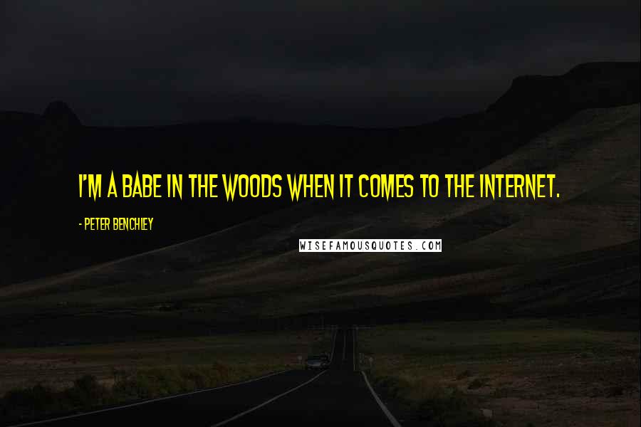 Peter Benchley Quotes: I'm a babe in the woods when it comes to the Internet.