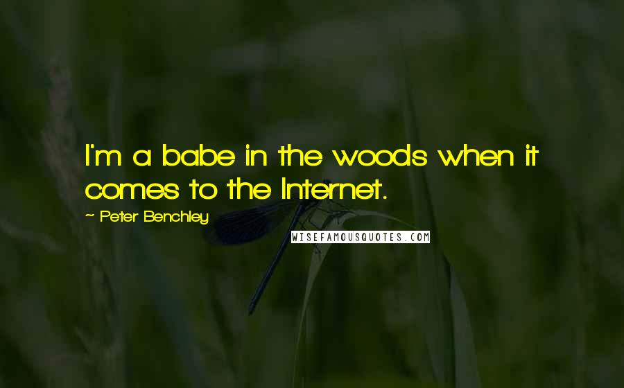 Peter Benchley Quotes: I'm a babe in the woods when it comes to the Internet.