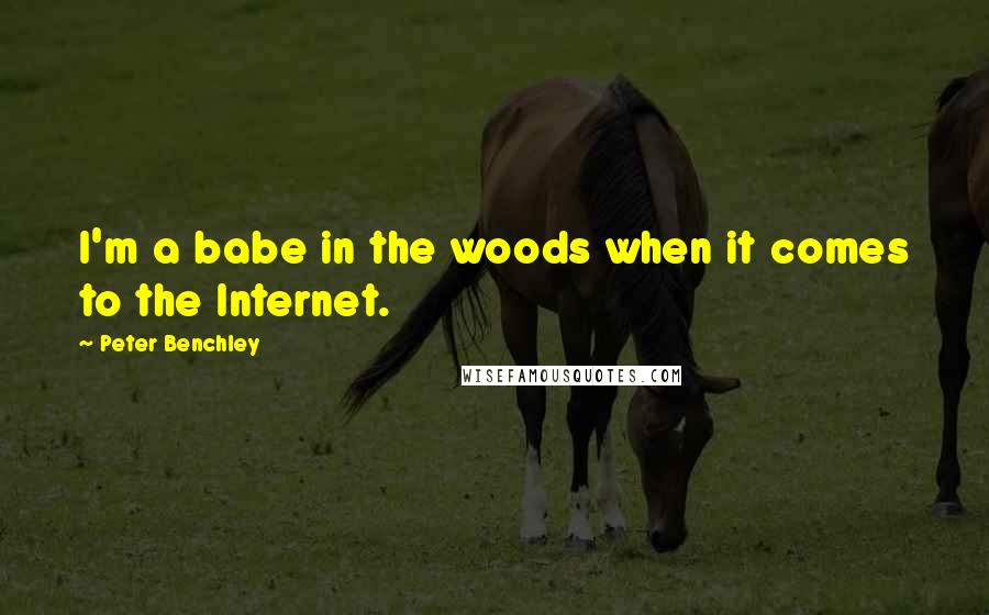 Peter Benchley Quotes: I'm a babe in the woods when it comes to the Internet.