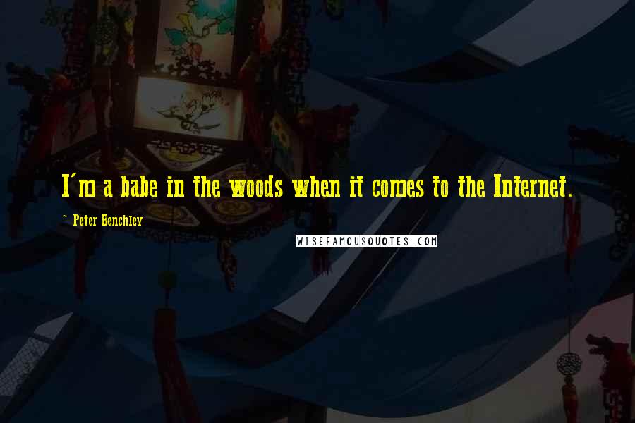 Peter Benchley Quotes: I'm a babe in the woods when it comes to the Internet.