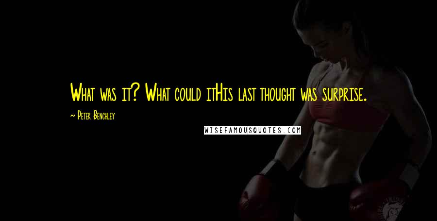 Peter Benchley Quotes: What was it? What could itHis last thought was surprise.