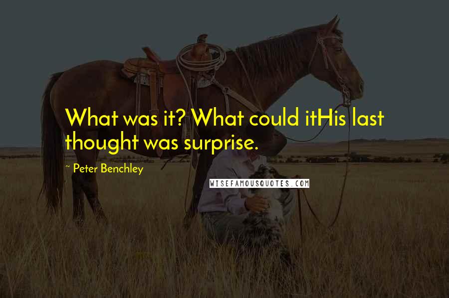 Peter Benchley Quotes: What was it? What could itHis last thought was surprise.