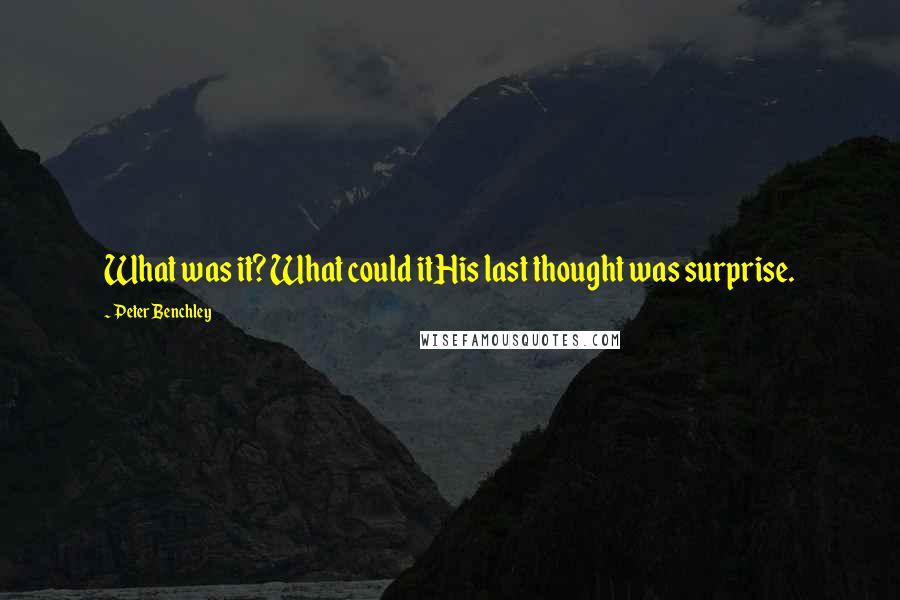 Peter Benchley Quotes: What was it? What could itHis last thought was surprise.