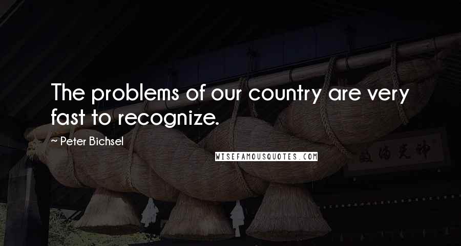 Peter Bichsel Quotes: The problems of our country are very fast to recognize.