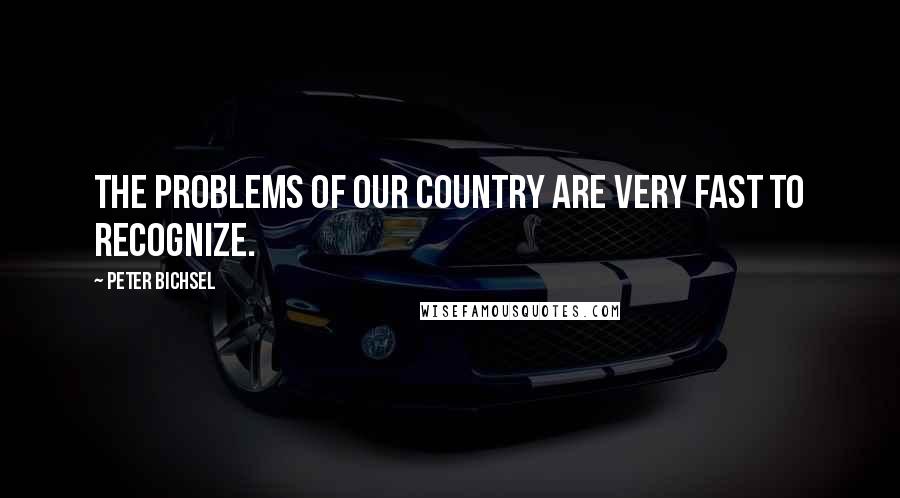 Peter Bichsel Quotes: The problems of our country are very fast to recognize.