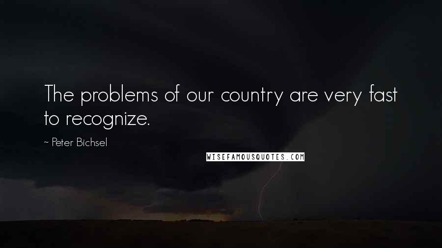 Peter Bichsel Quotes: The problems of our country are very fast to recognize.