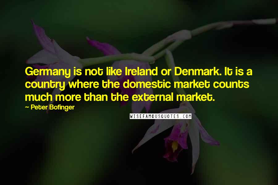 Peter Bofinger Quotes: Germany is not like Ireland or Denmark. It is a country where the domestic market counts much more than the external market.