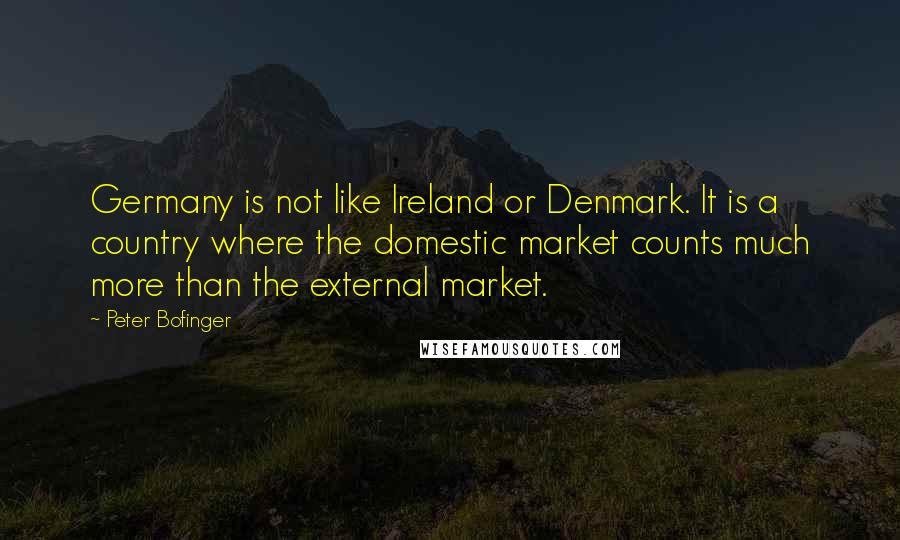 Peter Bofinger Quotes: Germany is not like Ireland or Denmark. It is a country where the domestic market counts much more than the external market.