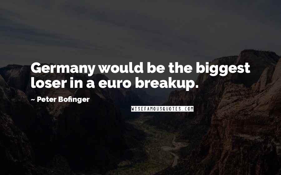 Peter Bofinger Quotes: Germany would be the biggest loser in a euro breakup.