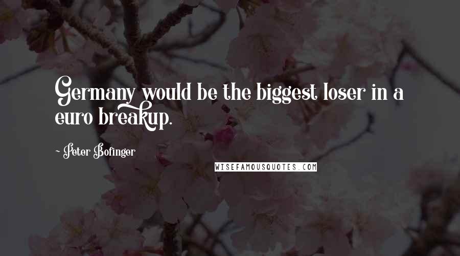 Peter Bofinger Quotes: Germany would be the biggest loser in a euro breakup.