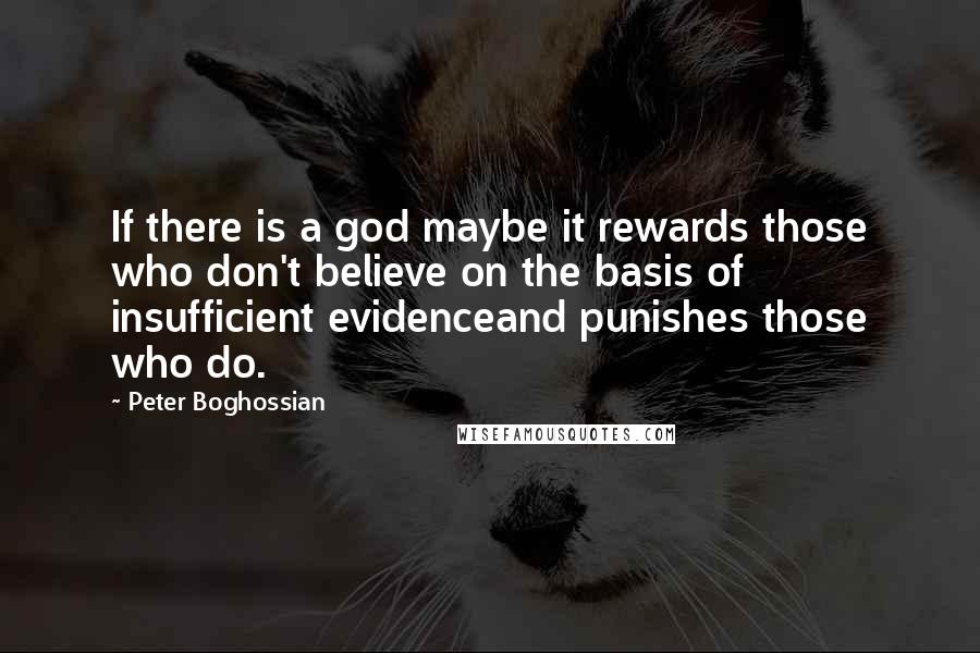 Peter Boghossian Quotes: If there is a god maybe it rewards those who don't believe on the basis of insufficient evidenceand punishes those who do.