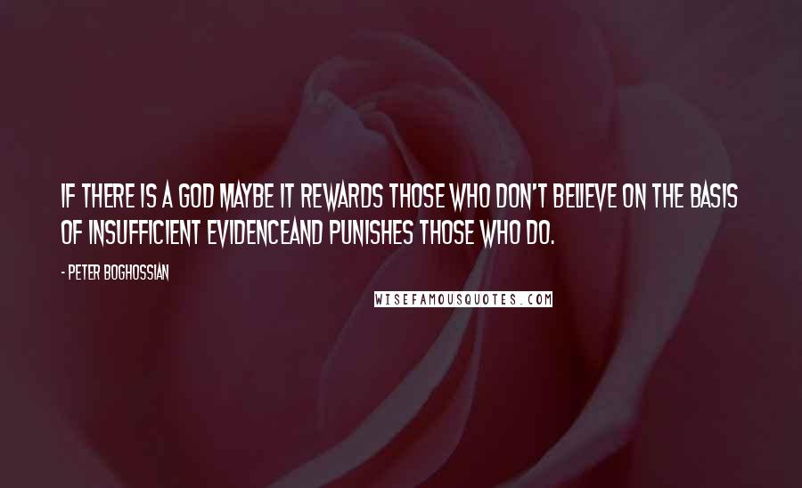 Peter Boghossian Quotes: If there is a god maybe it rewards those who don't believe on the basis of insufficient evidenceand punishes those who do.