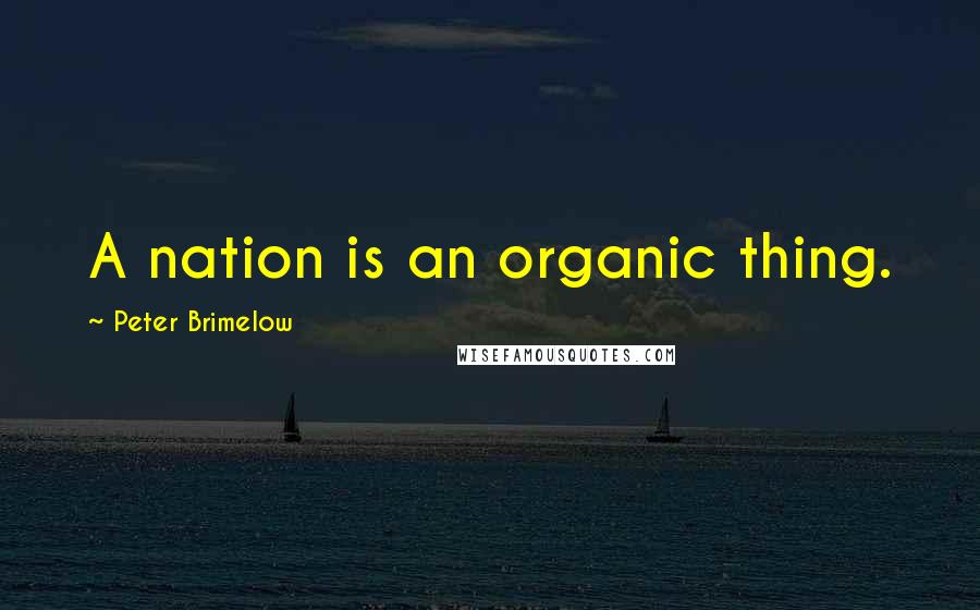 Peter Brimelow Quotes: A nation is an organic thing.