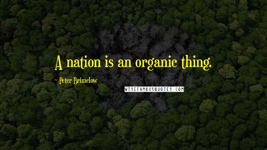 Peter Brimelow Quotes: A nation is an organic thing.
