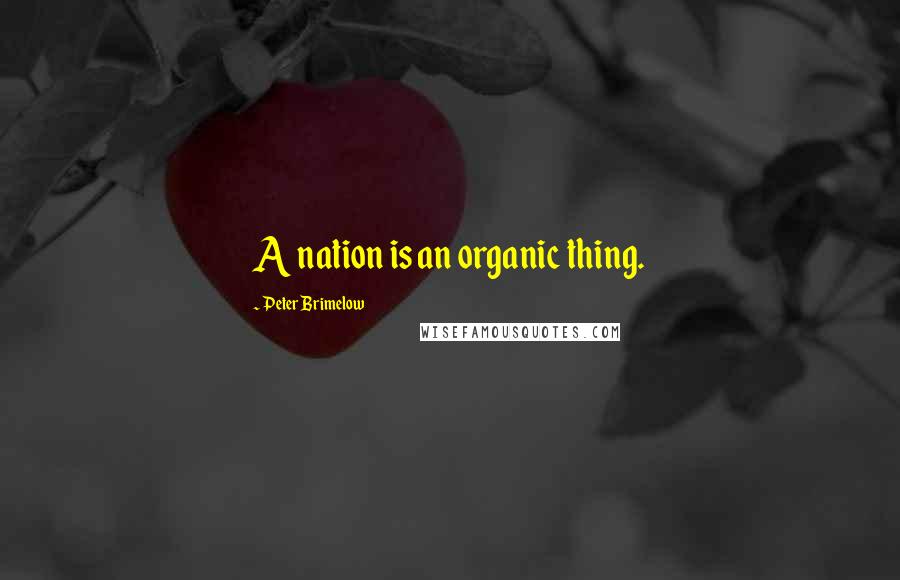 Peter Brimelow Quotes: A nation is an organic thing.