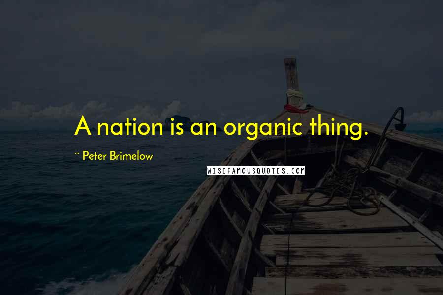 Peter Brimelow Quotes: A nation is an organic thing.