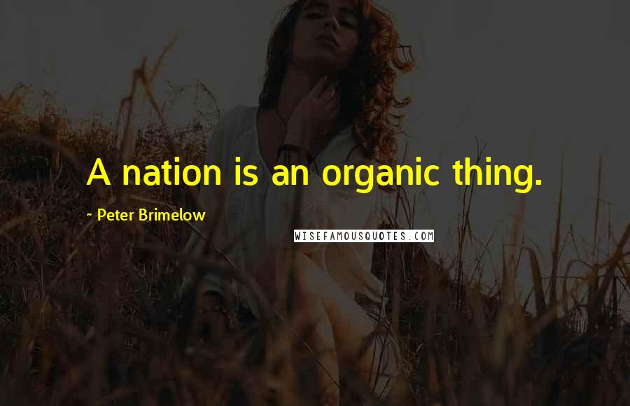 Peter Brimelow Quotes: A nation is an organic thing.