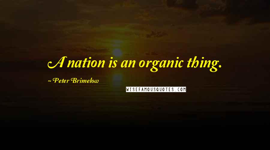 Peter Brimelow Quotes: A nation is an organic thing.