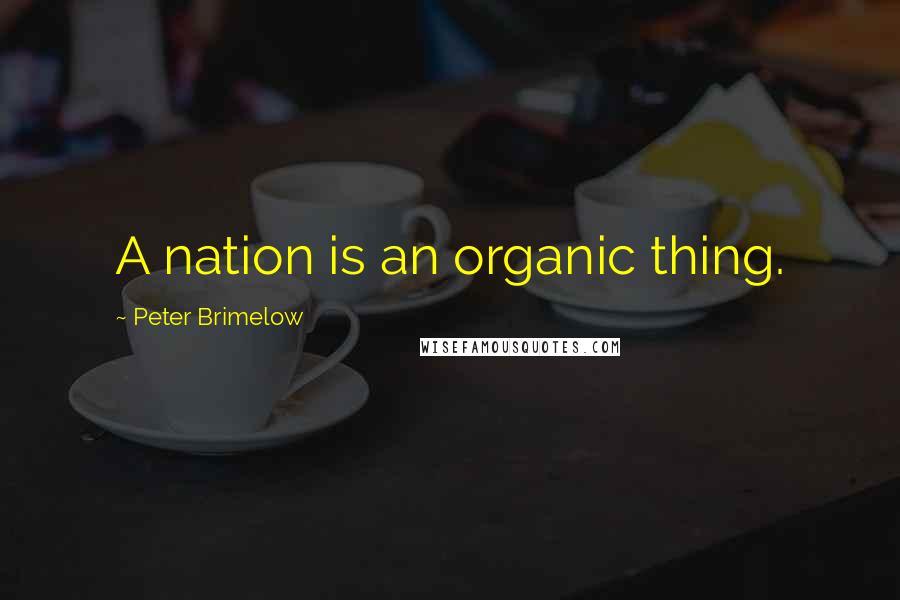 Peter Brimelow Quotes: A nation is an organic thing.