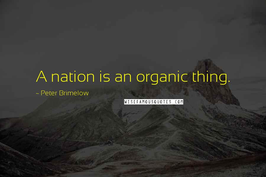 Peter Brimelow Quotes: A nation is an organic thing.