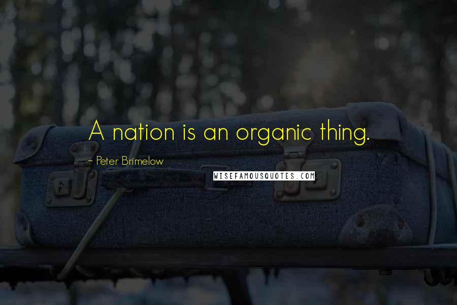 Peter Brimelow Quotes: A nation is an organic thing.