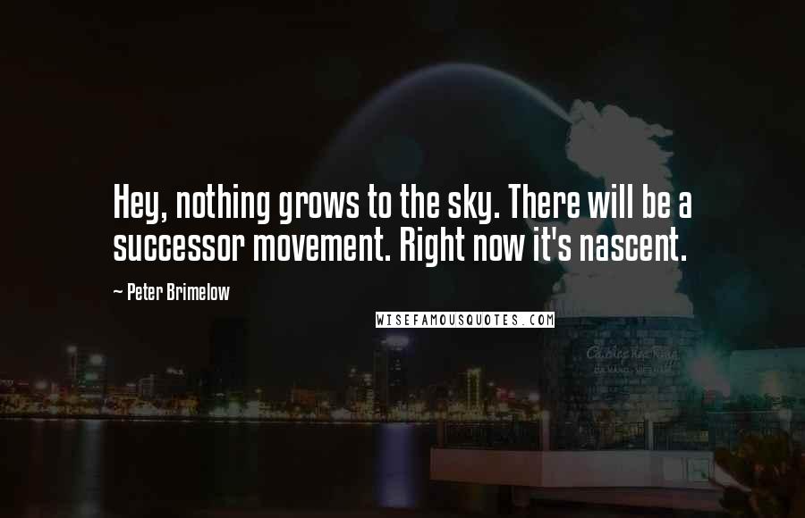 Peter Brimelow Quotes: Hey, nothing grows to the sky. There will be a successor movement. Right now it's nascent.
