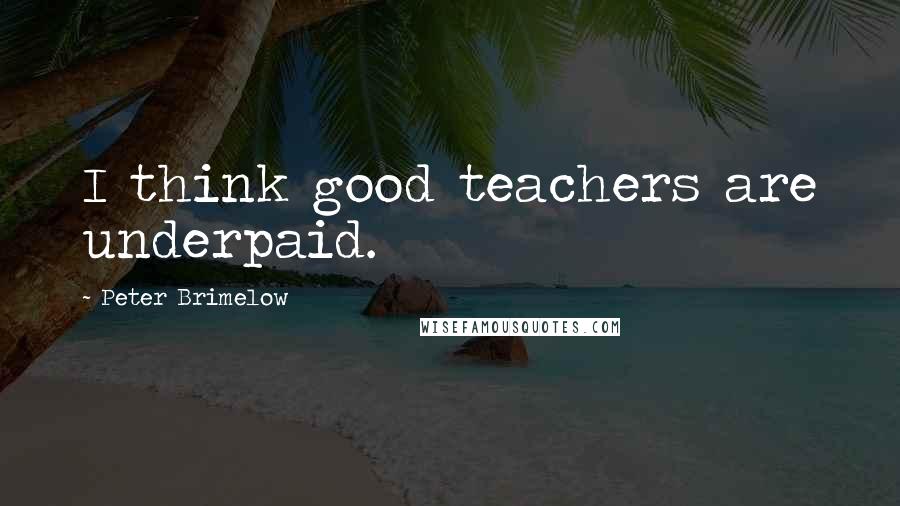 Peter Brimelow Quotes: I think good teachers are underpaid.