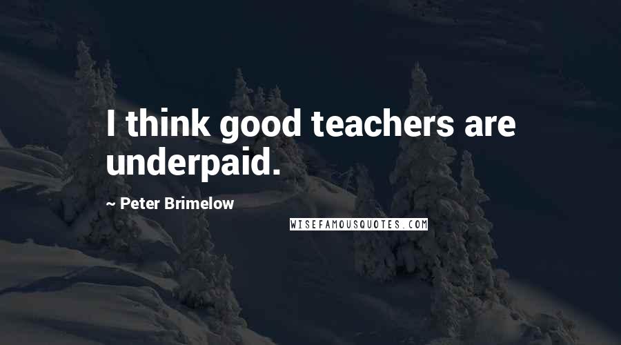 Peter Brimelow Quotes: I think good teachers are underpaid.