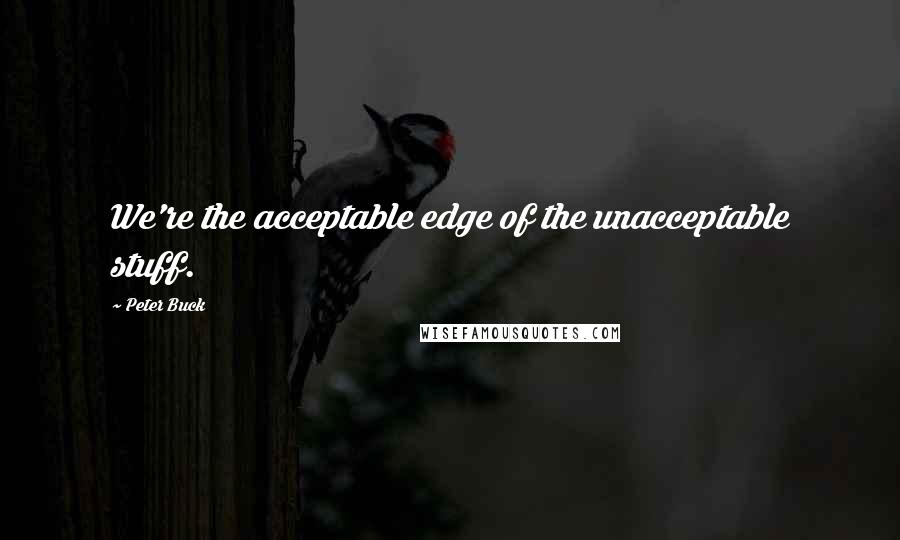Peter Buck Quotes: We're the acceptable edge of the unacceptable stuff.