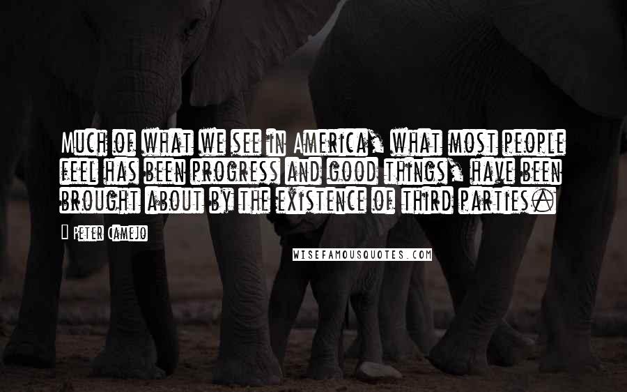 Peter Camejo Quotes: Much of what we see in America, what most people feel has been progress and good things, have been brought about by the existence of third parties.