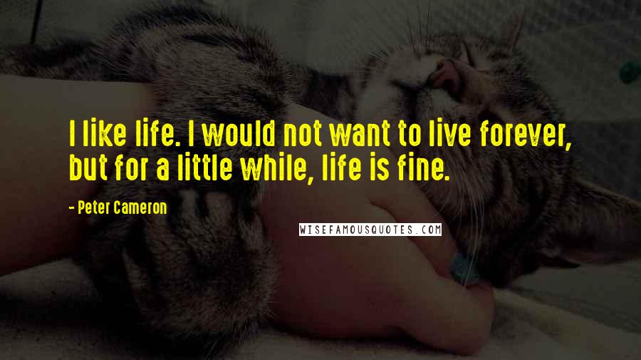 Peter Cameron Quotes: I like life. I would not want to live forever, but for a little while, life is fine.